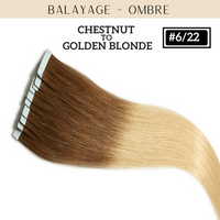 #6/22 Chestnut / Golden Blonde